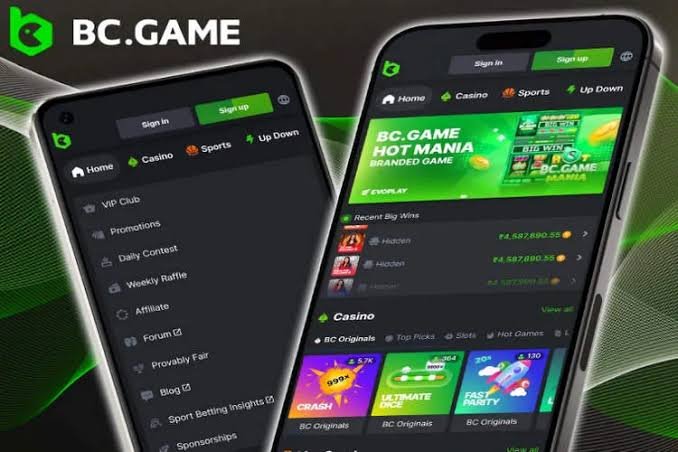 Discover the Exciting World of BC.Game Casino